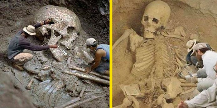 descubrimientos-origen-humano