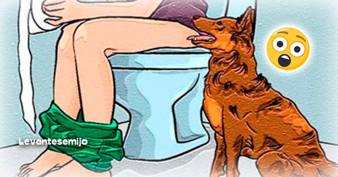 Resultado de imagen para ¿Por qué tu perro te sigue al baño?