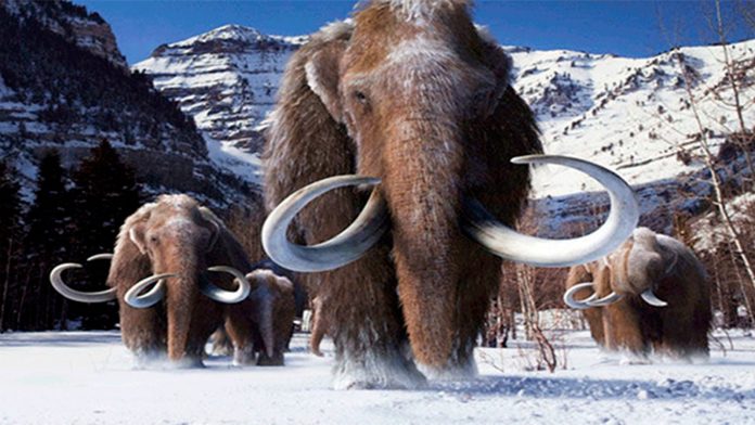 mamut-estinto-volvera