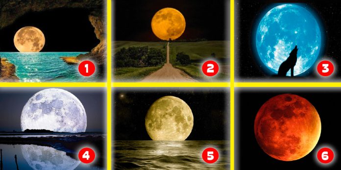 test-luna-llena.psicologo