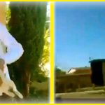 adolescente-lazma-gato-al-aire