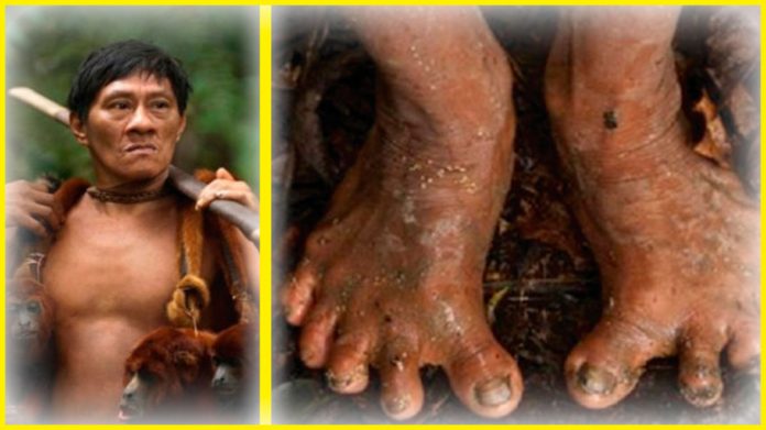fotos-salvajes-amazonas