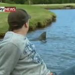 animales-mas-peligrosos-de-australia-21