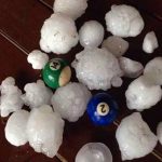 animales-mas-peligrosos-de-australia-4