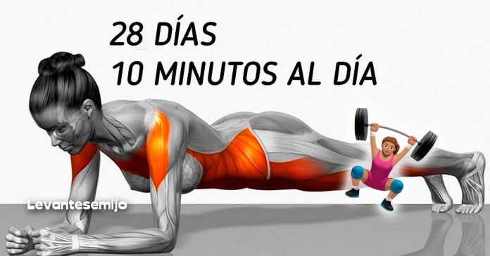 ejercicios-transformar-cuerpo-en-semanas