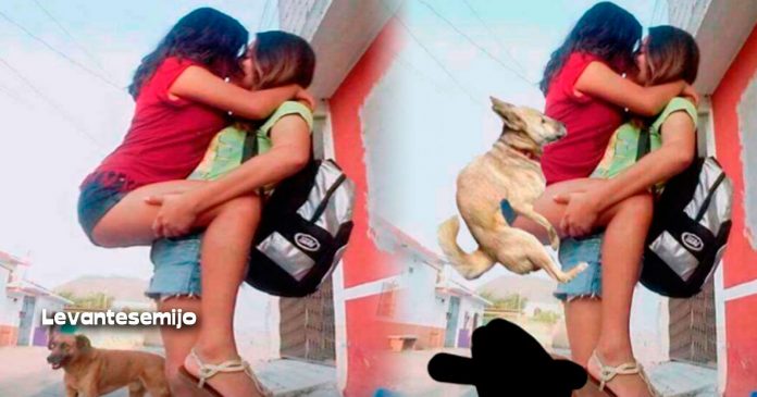 pidio-ayuda-para-quitar-perro-de-la-foto
