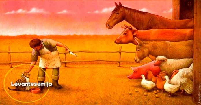 por-estas-imagenes-cuestionaras-sociedad