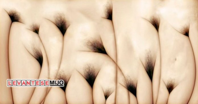 flores-muy-extranas-parecen-ago-diferente