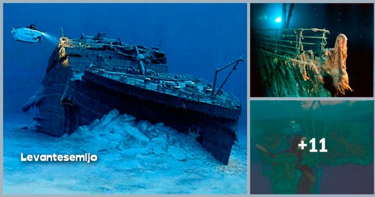 Las fotos asombrosas del Titanic que fueron tomadas poco después de su descubrimiento