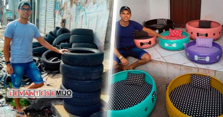 Hombre transforma neumáticos viejos en bellas camas para mascotas
