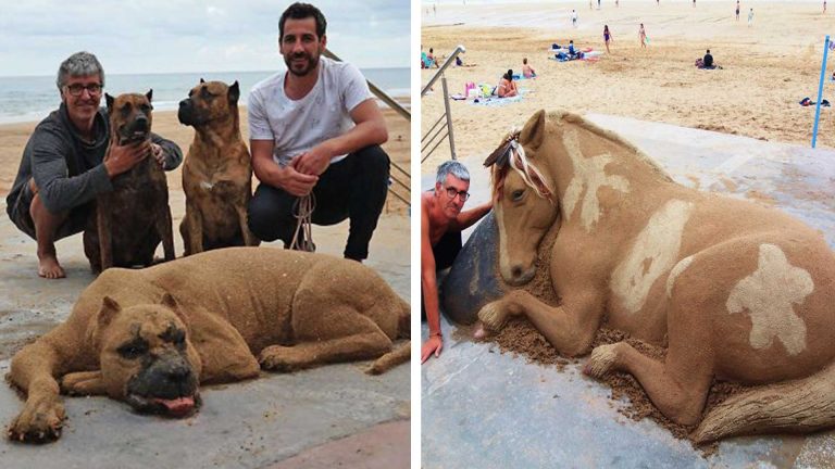 Esculturas de arena realistas de animales